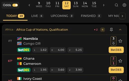 Livescore widget in the Copa Libertadores template, dark version